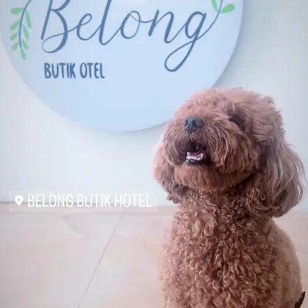 Belong Hostal *